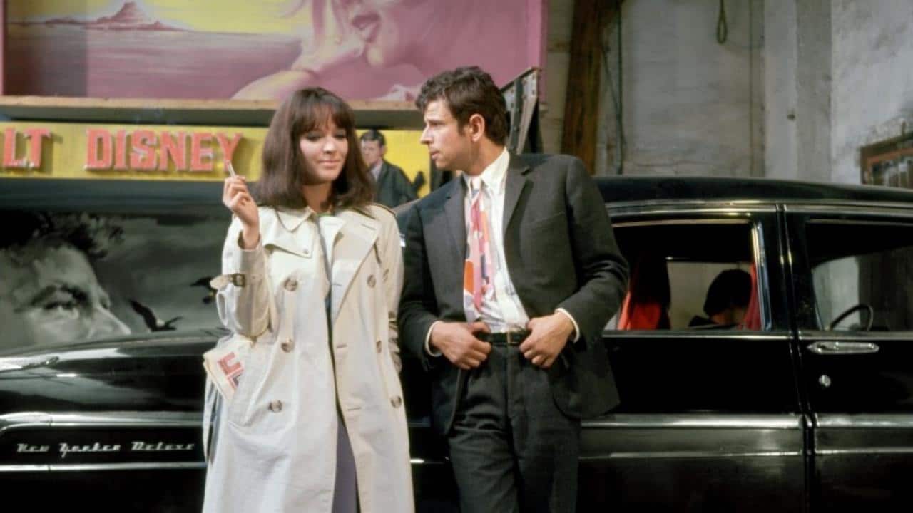 Cinematheque screens