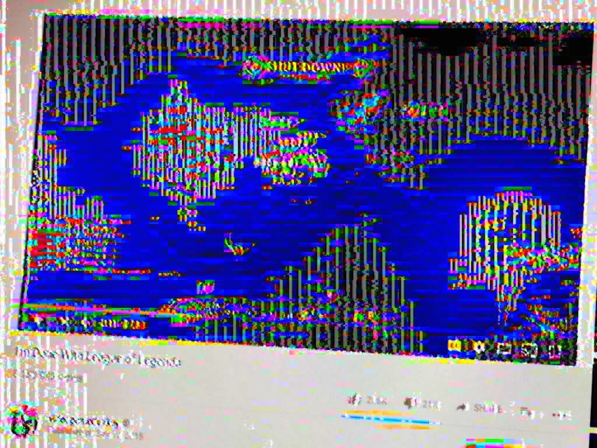 Illustrations by David Wolinsky.