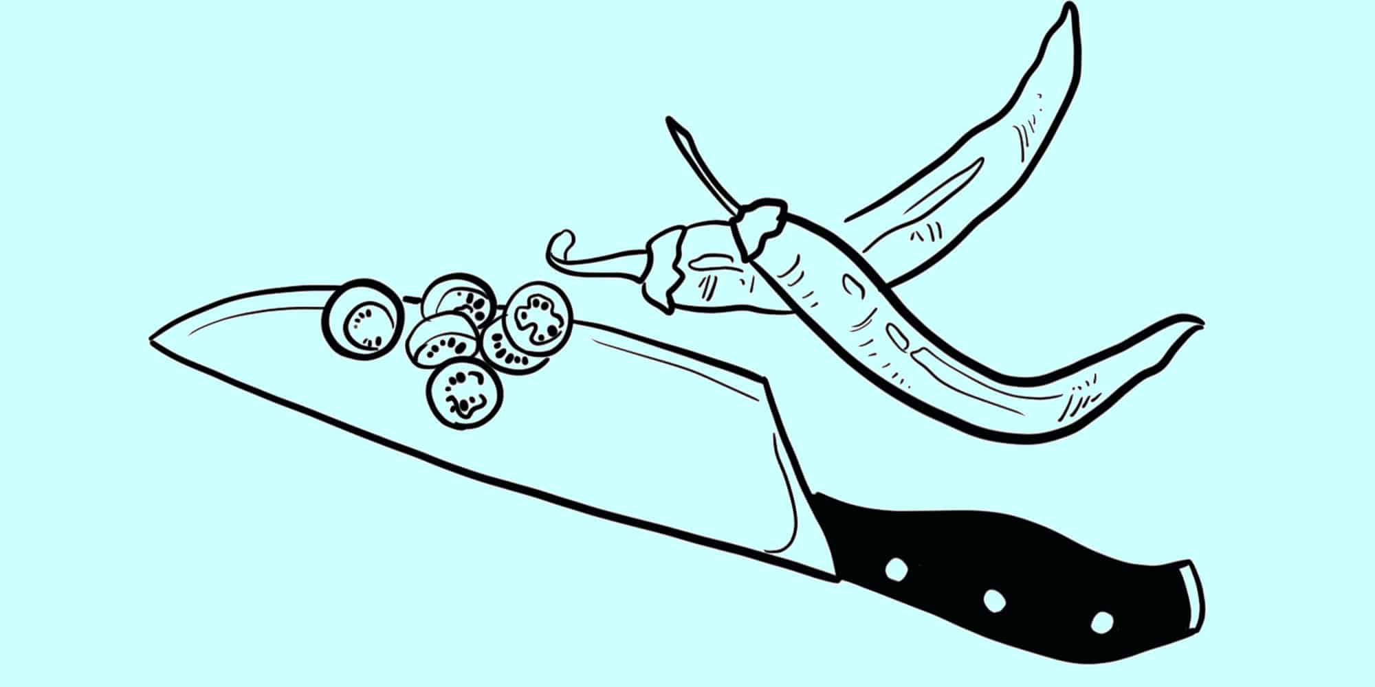 Illustrations by Claire Warhus.