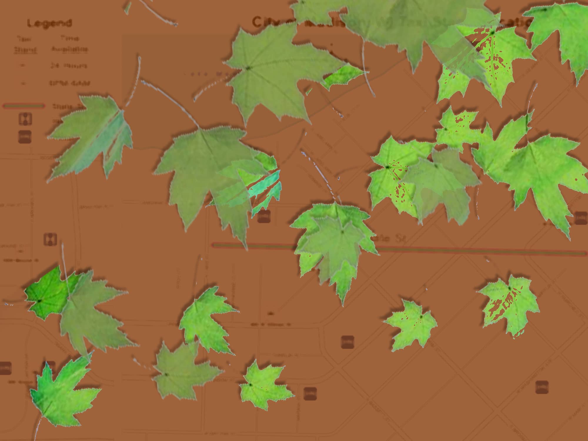 Green leaves float down over a light brown map of Madison's taxi stands.
