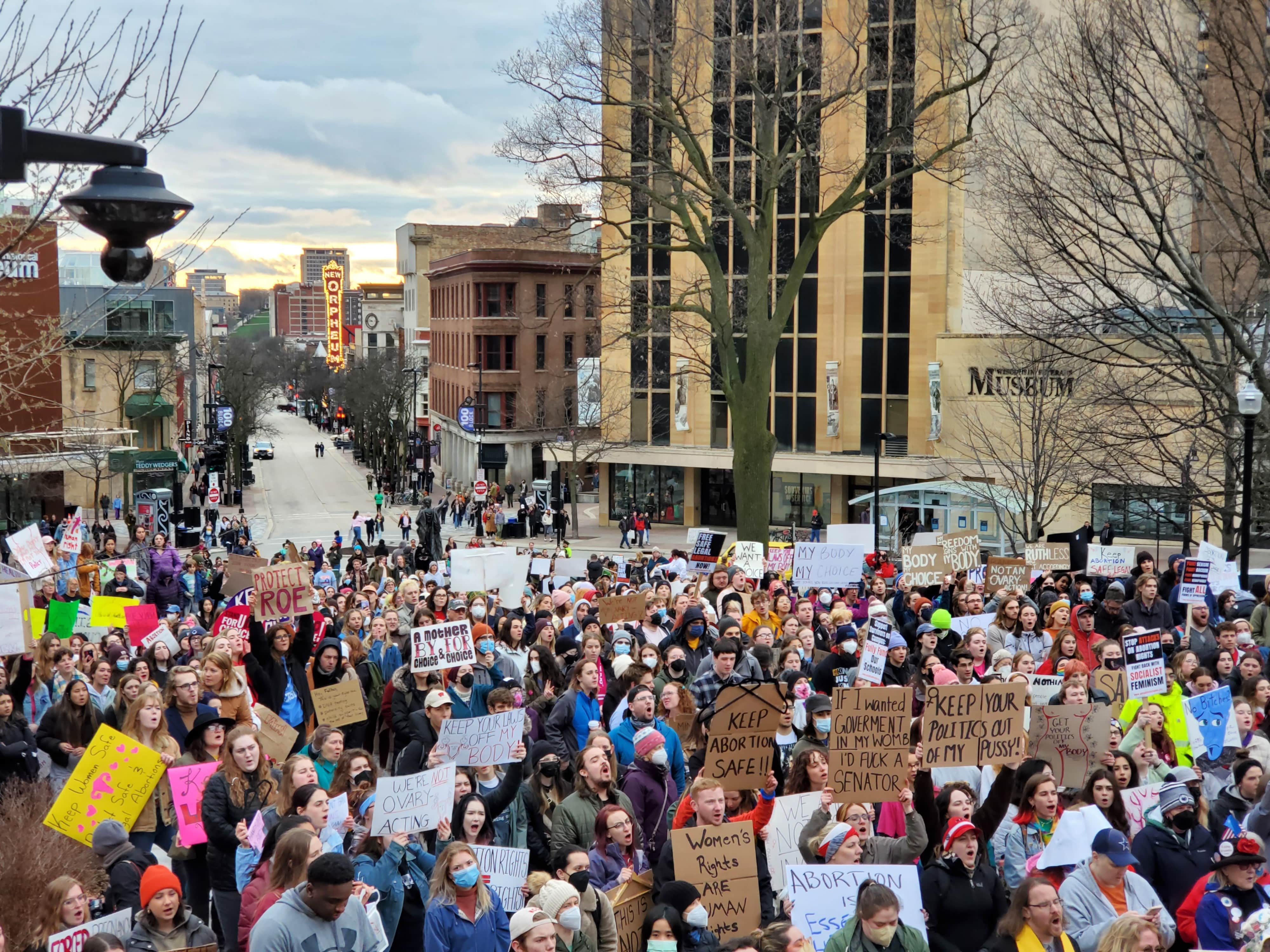 Caption: In a photo taken from the steps of the state Capitol, protestors hold up handwritten signs on cardboard and poster board, with state street visible in the background. Photos by Emily Mills.
