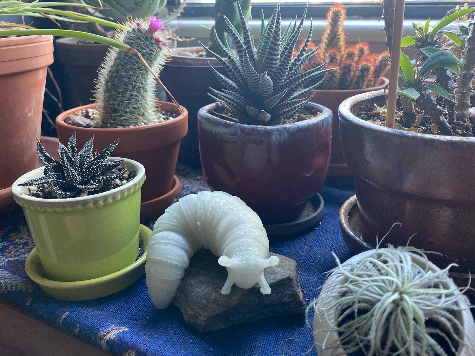 The author's 3-D printed slug is shown sitting amid an assortment of potted succulents.