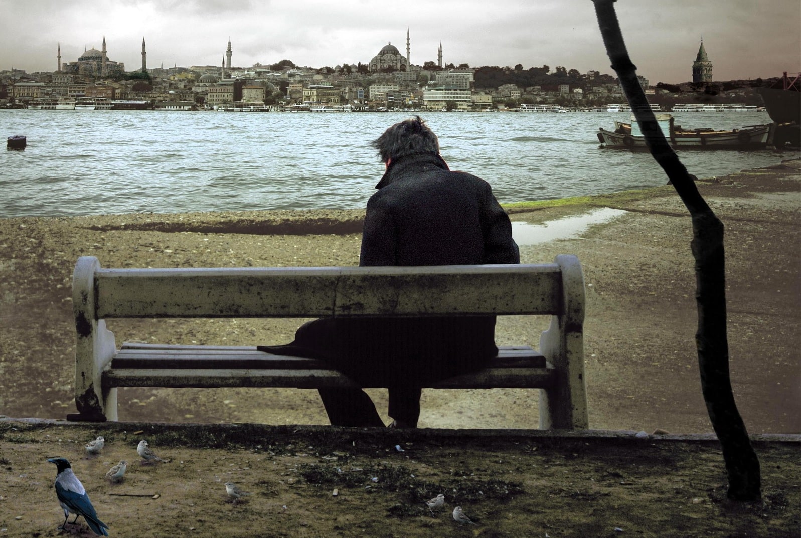 Mahmut (Muzaffer Özdemir) sits alone on a bench by the water amidst the desolate, wintry landscape of modern Istanbul, while contemplating the Void of existence.