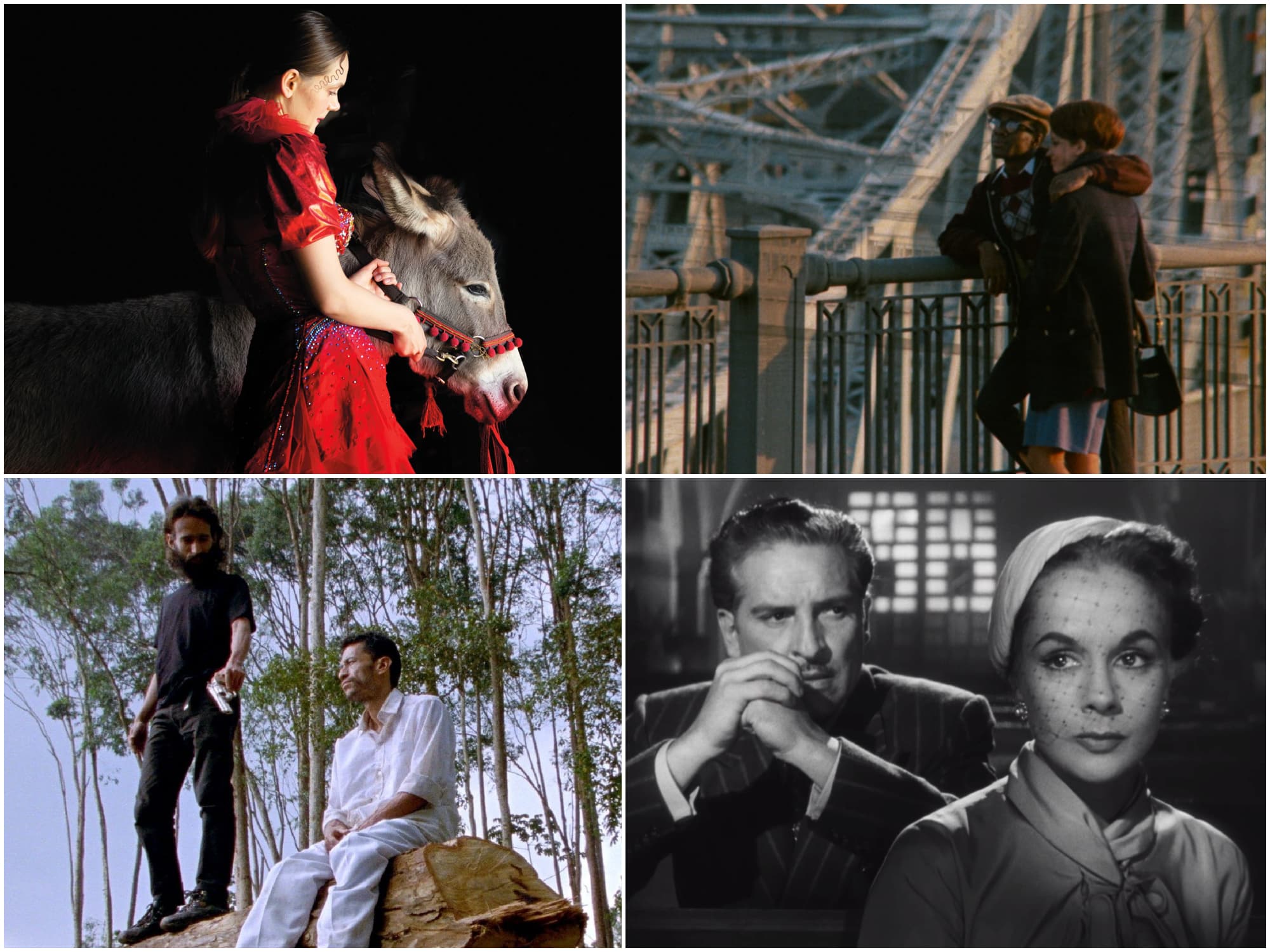 An image collage of four films the UW Cinematheque is presenting this spring semester. Clockwise from top left: "Eo" (2022), "Cooley High" (1975), "Él" or "This Strange Passion" (1953), and "Los Conductos" (2020).