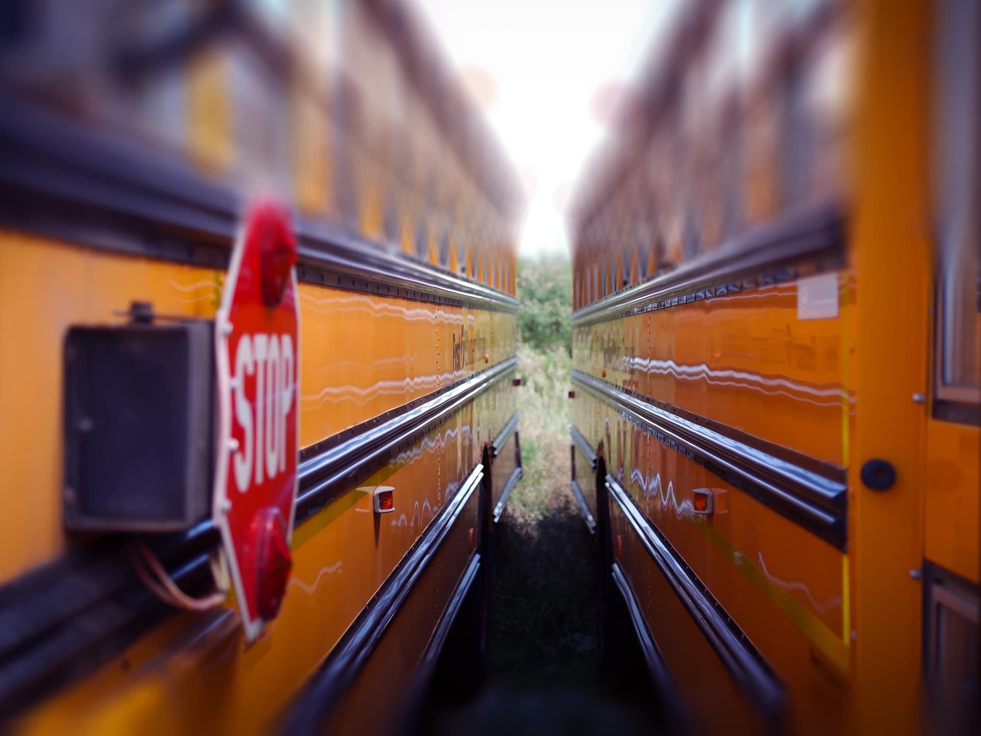 The sides of two school buses parked closely together, processed through a blur effect and color adjustment.