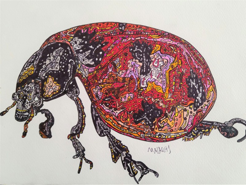 Malachi Schmidt's "Ladybug" renders the insect in an intricate arrangement of small, distinct shapes in multiple bold colors.