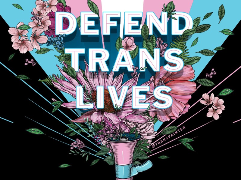 An illustration shows the pink, blue, and white stripes of the trans pride flag at an angle, emanating from a pink and blue megaphone at the bottom of the frame. An array of vivid pink and blue flowers and green leaves appear to explode outward from the megaphone. Text in the foreground of the image in large block letters reads "DEFEND TRANS LIVES."