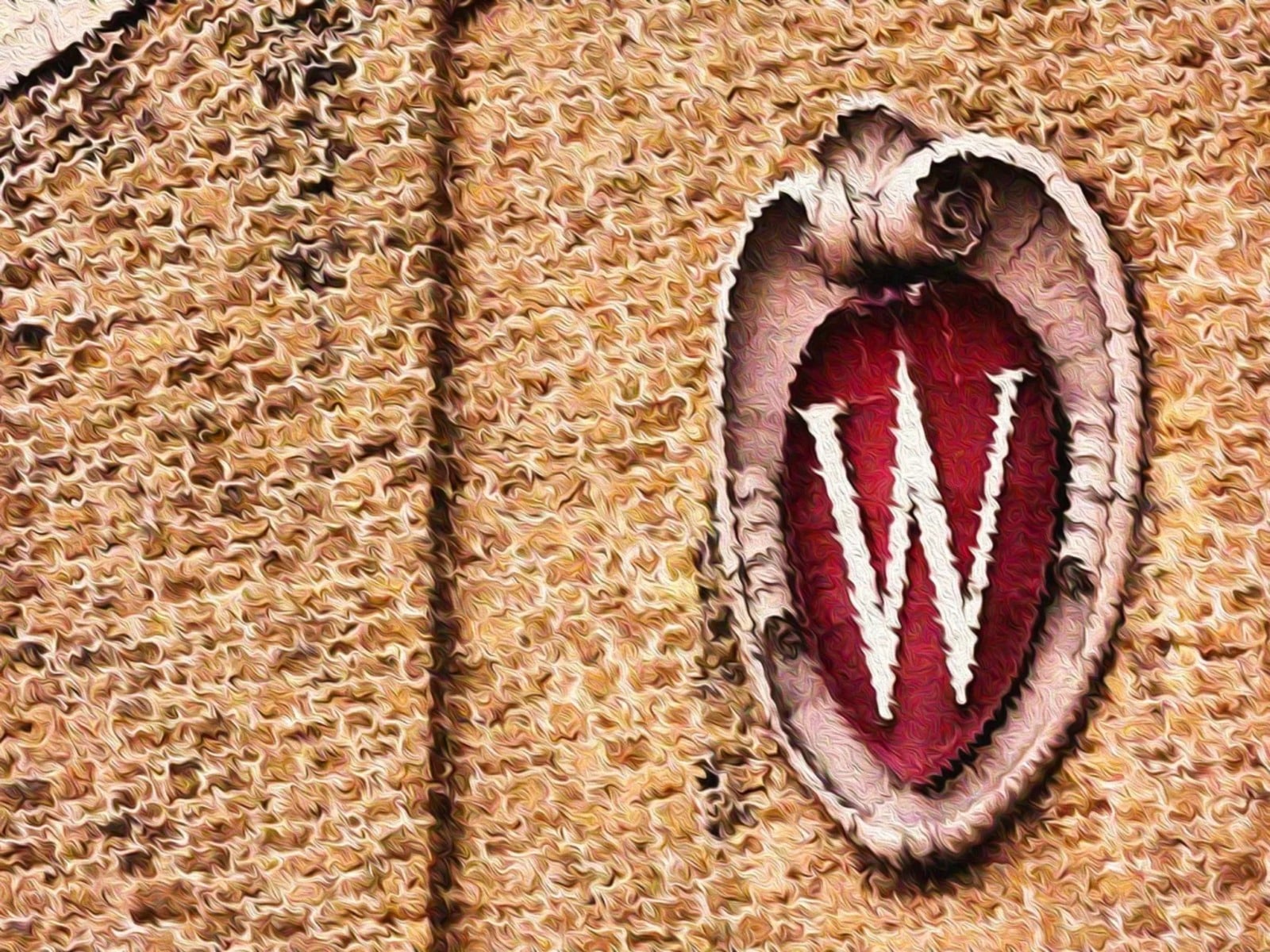 Photo of a tan-colored cobblestone wall with the ornate UW–Madison institutional insignia or crest on the right-hand side. The crest contains a decorative pattern that surrounds a smaller red oval and large white "W" capital letter. The photo is graphically altered, distorted by wavy lines.