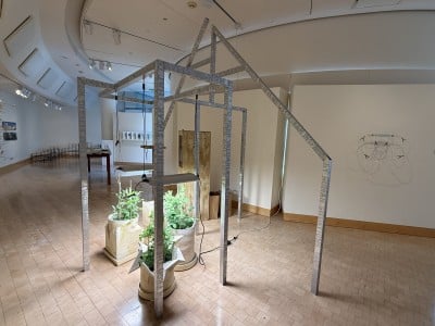 Photo of a "living" art gallery space. The installation includes slim steel beams that are interconnected and arranged in an upright formation above three large potted plants underneath. A bright fluorescent light is centered on the plants, while the remainder of the gallery space is more dimly lit.