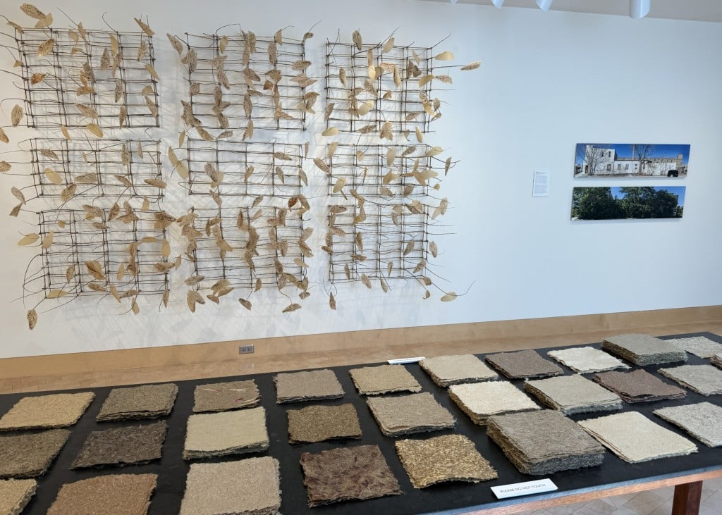 A photo of a gallery exhibition table and wall that include various materials and textiles. Several square-cut articles of paper are displayed neatly in vertical rows of three on the tabletop in the foreground. Several rectangular wire-mesh constructions—also in vertical rows of three—are mounted on the white wall in the background. These constructions contain sparrow wings, each mounted individually. A smaller photograph of a building is hung on the wall to the right.