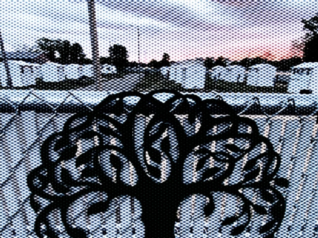 A photo with a heavy mesh-effect filter shows a chain-link fence in the foreground that is layered over a white, wooden-panel fence. A large tree-design sign is mounted on the front. Behind the fences, several narrow white-painted housing units are constructed in rows among the campground against a sky at sunset.