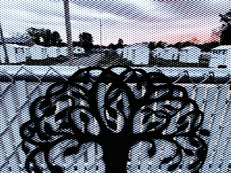 A photo with a heavy mesh-effect filter shows a chain-link fence in the foreground that is layered over a white, wooden-panel fence. A large tree-design sign is mounted on the front. Behind the fences, several narrow white-painted housing units are constructed in rows among the campground against a sky at sunset.