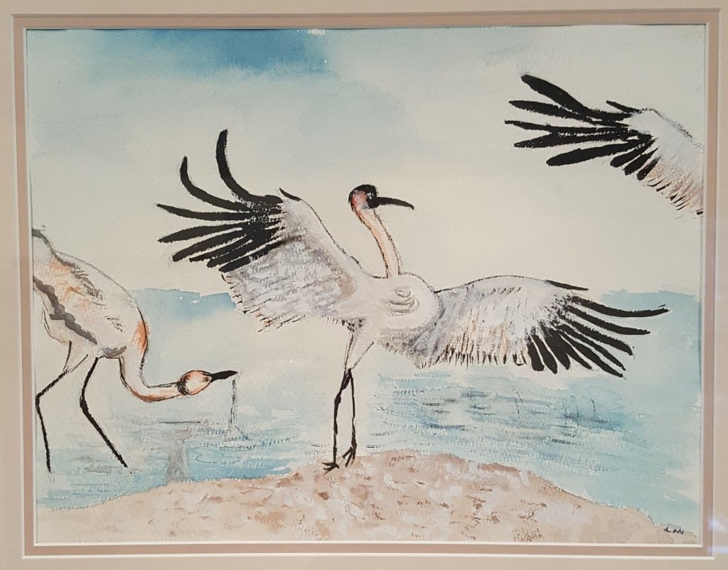 A photo of a framed watercolor painting of whooping cranes. Two of them are depicted in blue-colored water and on a light tan-colored beach. The cranes are white, but have black tips on their expanded wings. The color of the water blends into the cloudy sky at the top of the frame.