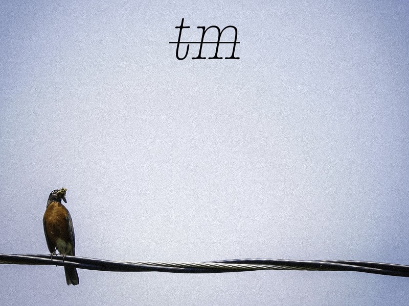 An American Robin with nesting material in its beak rests on a power line in the lower lefthand corner of the "Resolution" album art. Typewriter font with a strikethrough is centered near the top of the image and reads "tm." The image is primarily gray/blue with a strong grain effect, and a subtle vignette.