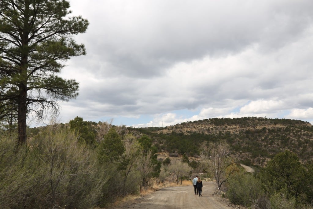 A sweeping wide shot of Raton, New Mexico that features the author's two bandmates tucked low in the bottom center-right, walking down a road. Trees tower around them, huge clouds populate the upper half of the image, and a rolling, mountainous landscape of dusty greens and browns take up the majority of the lower half. On the far left, a lone tree towers and extends out of frame.