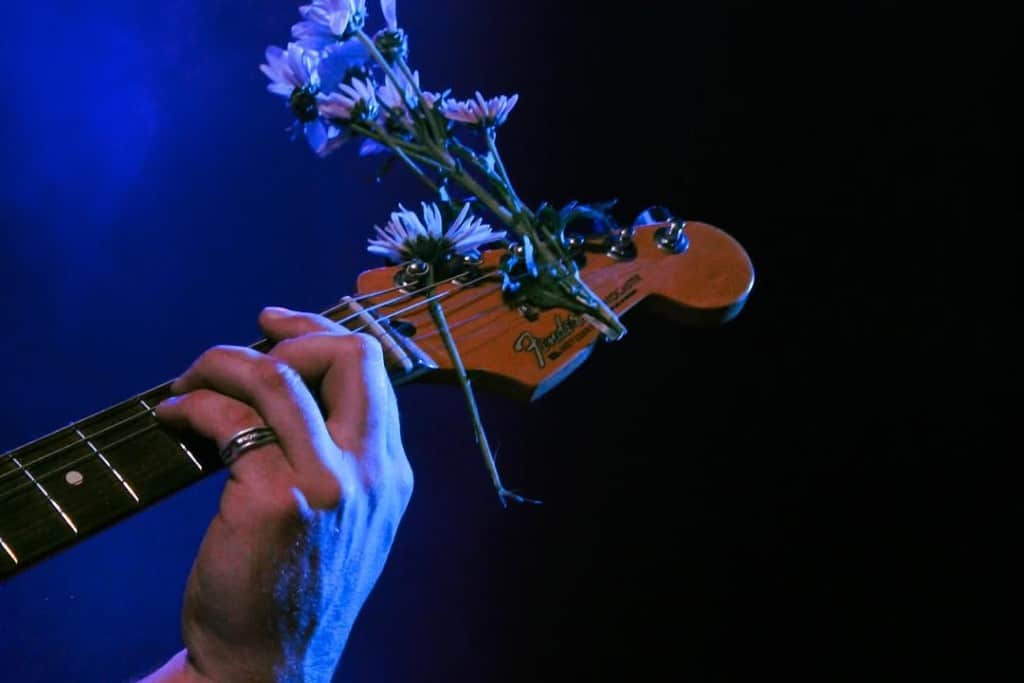 Close-up photo of a person's hand on an electric guitar neck with several cut flowers threaded through the head where the strings are attached. The background of the photo is dark with shade of blue lighting on the left.